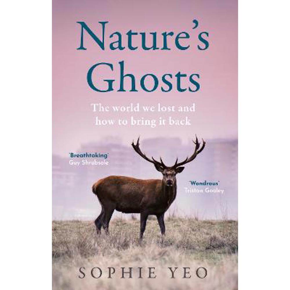 Nature's Ghosts: The world we lost and how to bring it back (Hardback) - Sophie Yeo